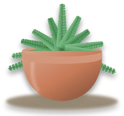 Illustration of a potted maidenhair fern