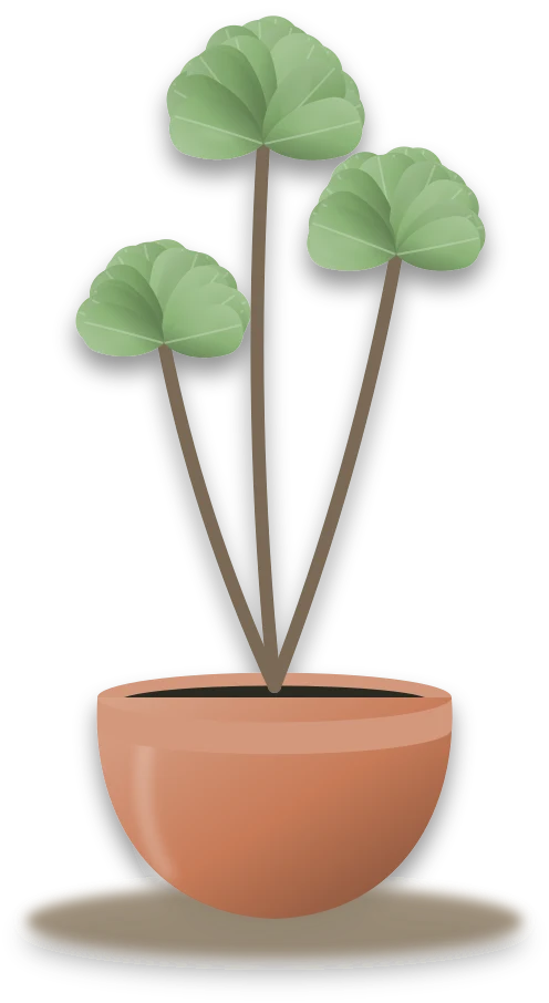 Illustration of a potted tree aeonium
