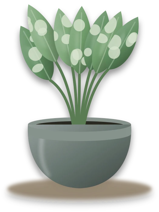 Illustration of a potted chinese evergreen