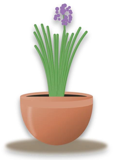 Illustration of a potted chives