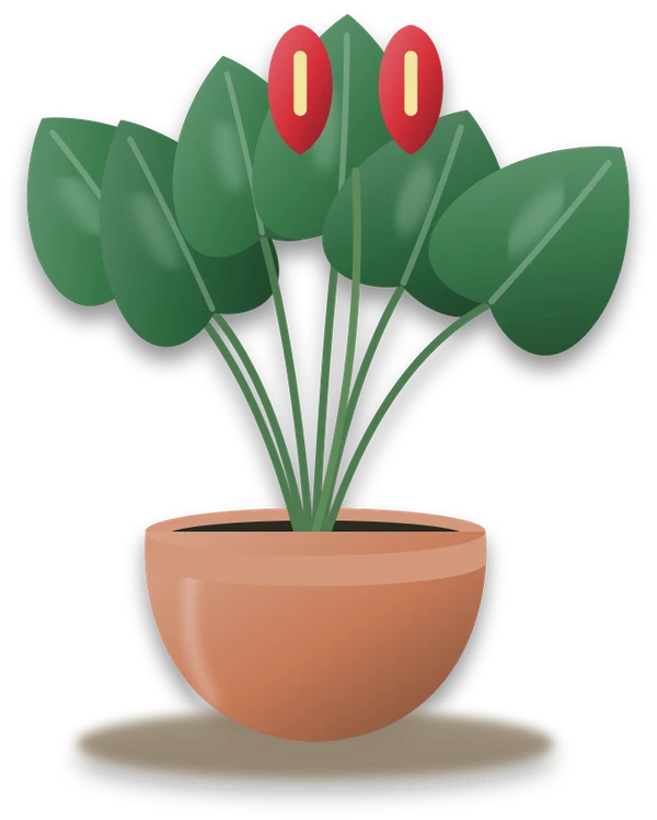 Illustration of a potted flamingo flower