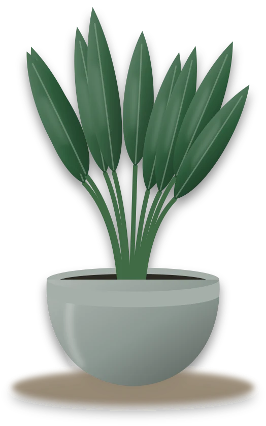 Illustration of a potted cast iron plant