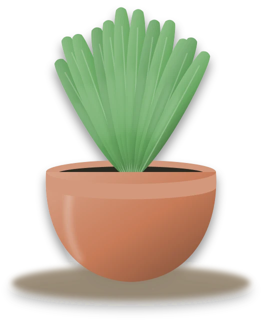 Illustration of a potted bird's nest fern
