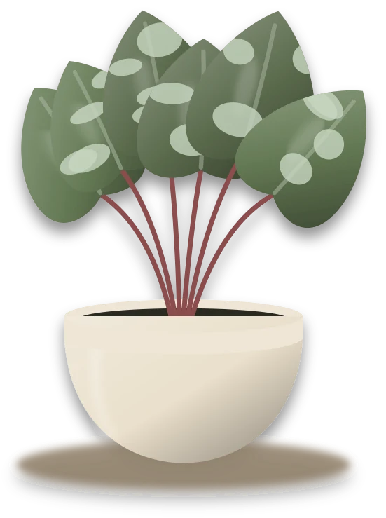 Illustration of a potted rex begonia