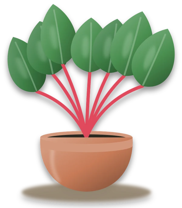 Illustration of a potted swiss chard