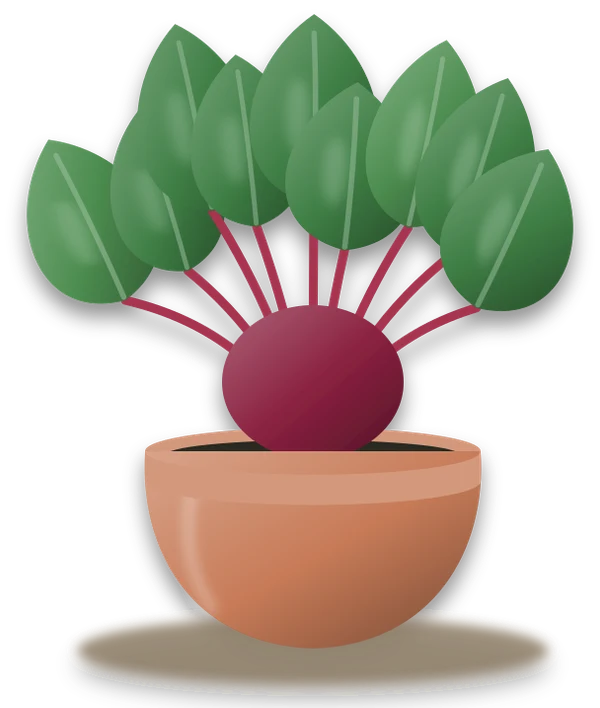 Illustration of a potted beetroot