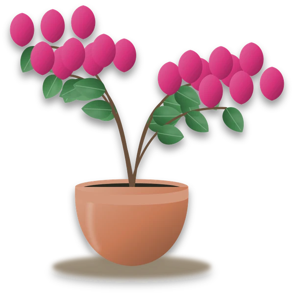Illustration of a potted bougainvillea