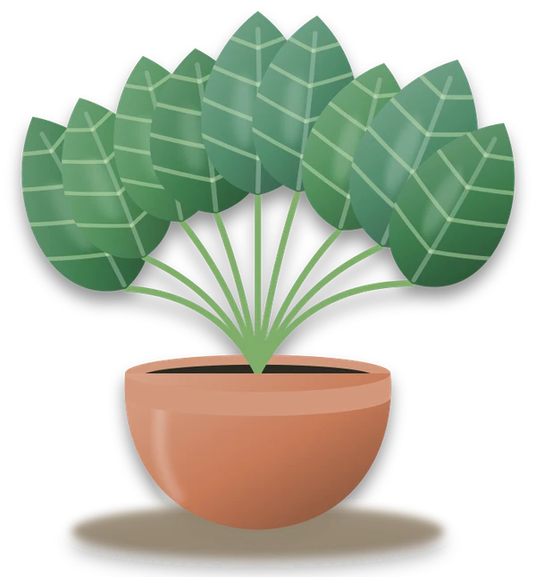 Illustration of a potted kale