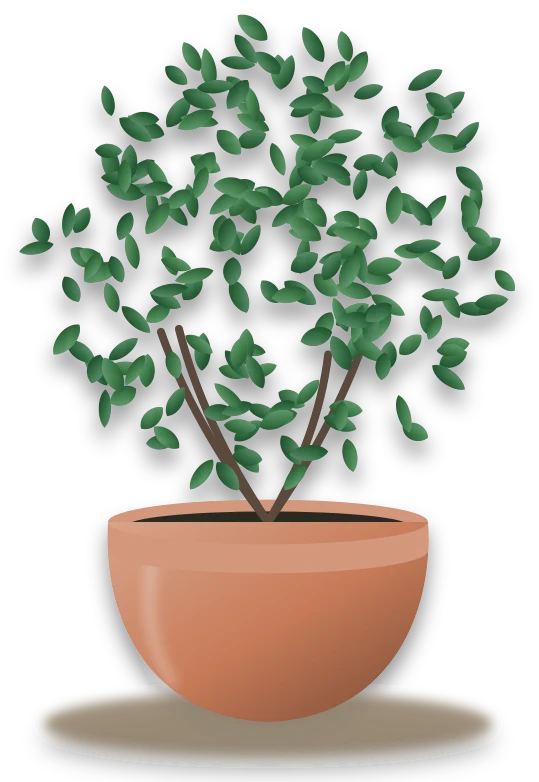 Illustration of a potted box