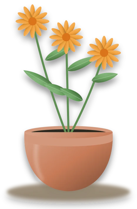 Illustration of a potted pot marigold