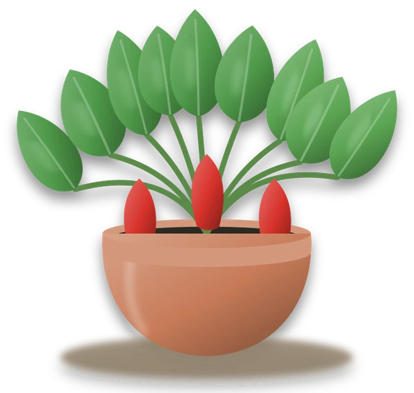 Illustration of a potted chilli and sweet pepper