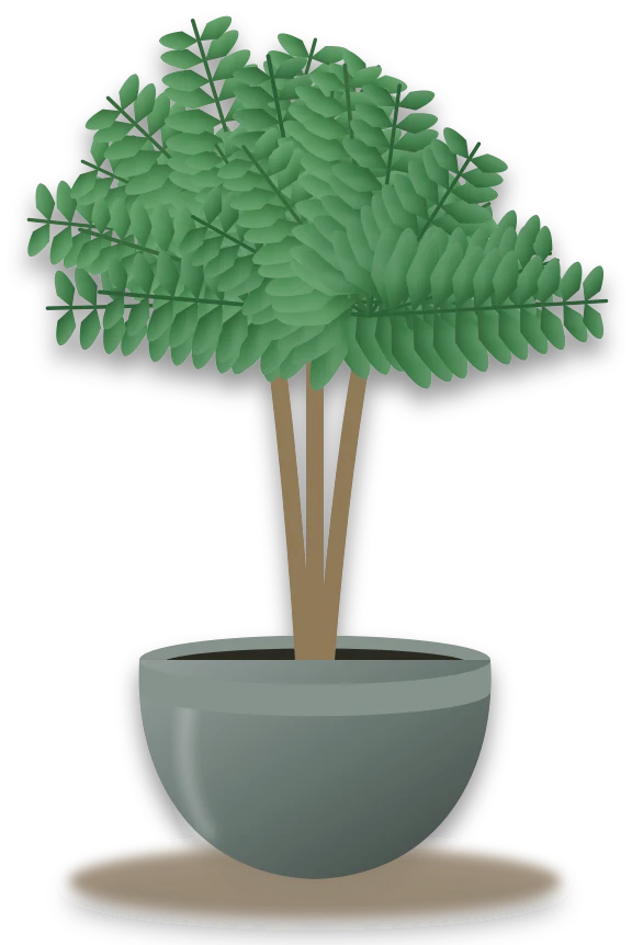 Illustration of a potted fishtail palm