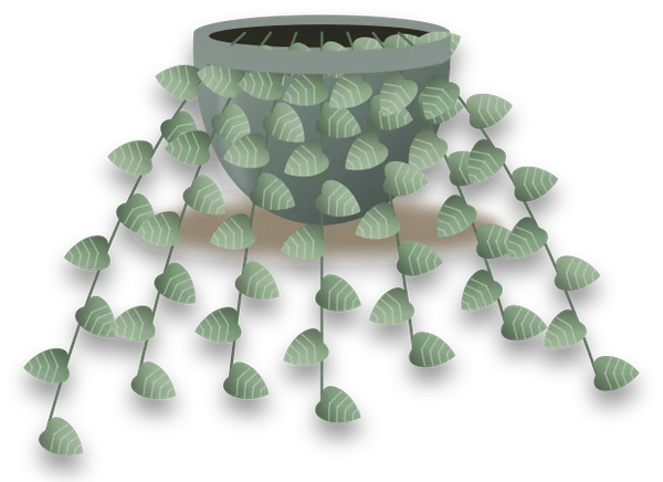 Illustration of a potted string of hearts