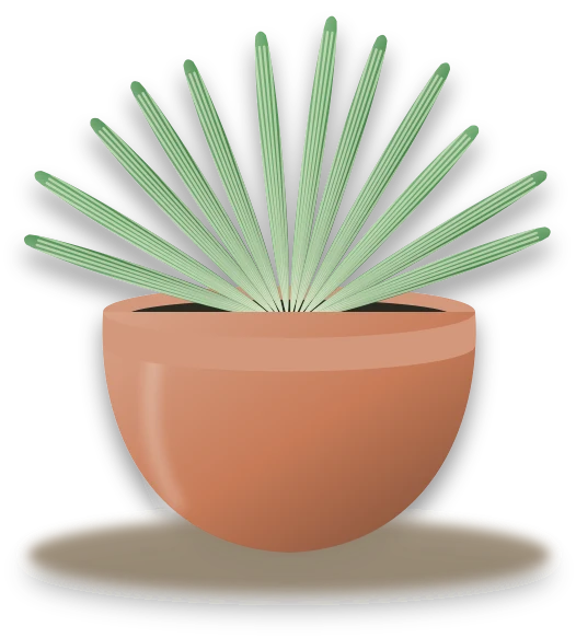 Illustration of a potted spider plant