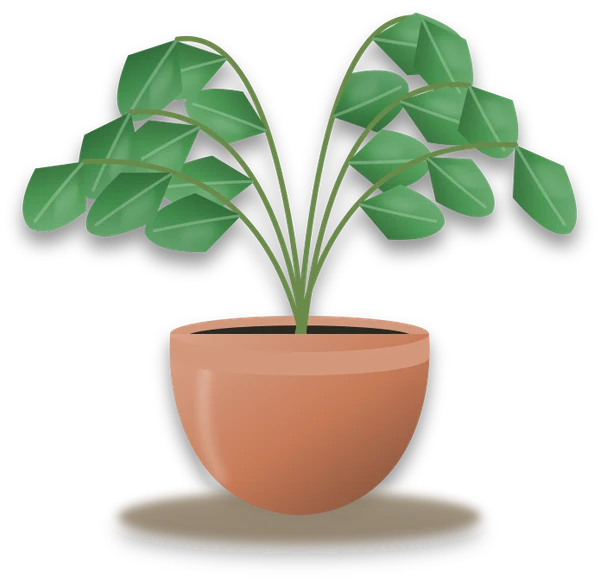 Illustration of a potted grape ivy