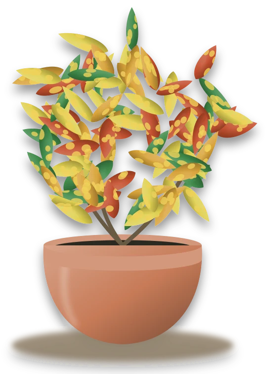 Illustration of a potted croton
