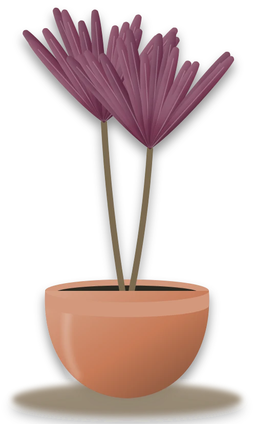 Illustration of a potted ti plant