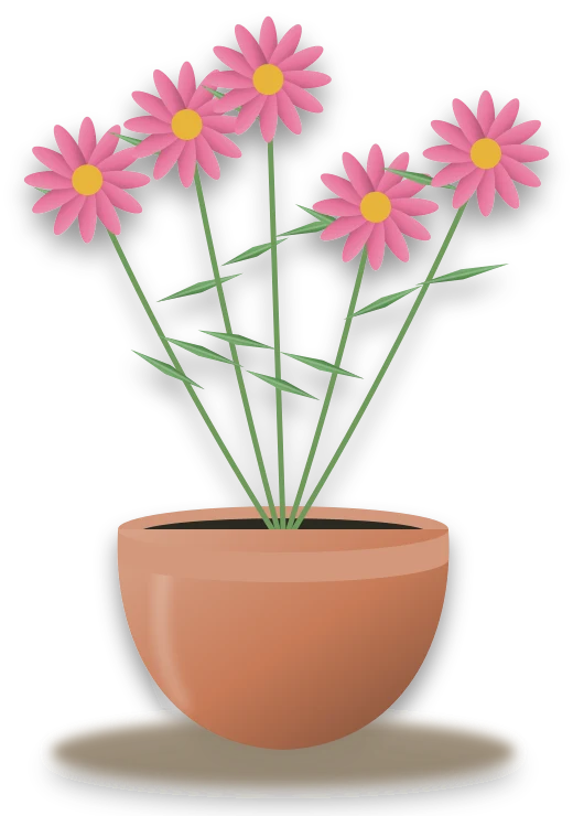 Illustration of a potted cosmos