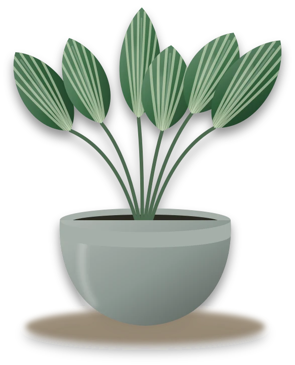 Illustration of a potted fishbone prayer plant