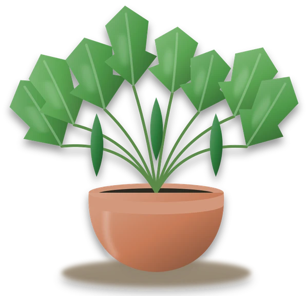 Illustration of a potted cucumber