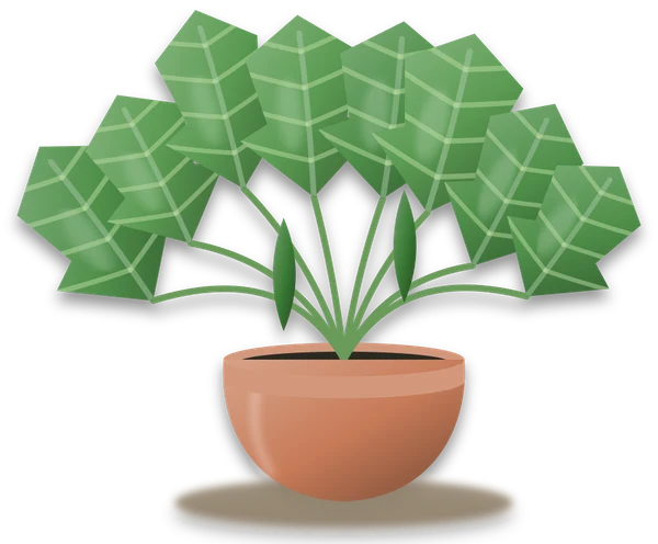Illustration of a potted courgette