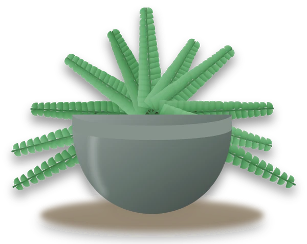 Illustration of a potted rabbit's foot fern