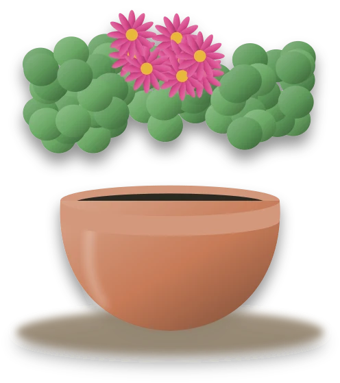 Illustration of a potted trailing ice plant