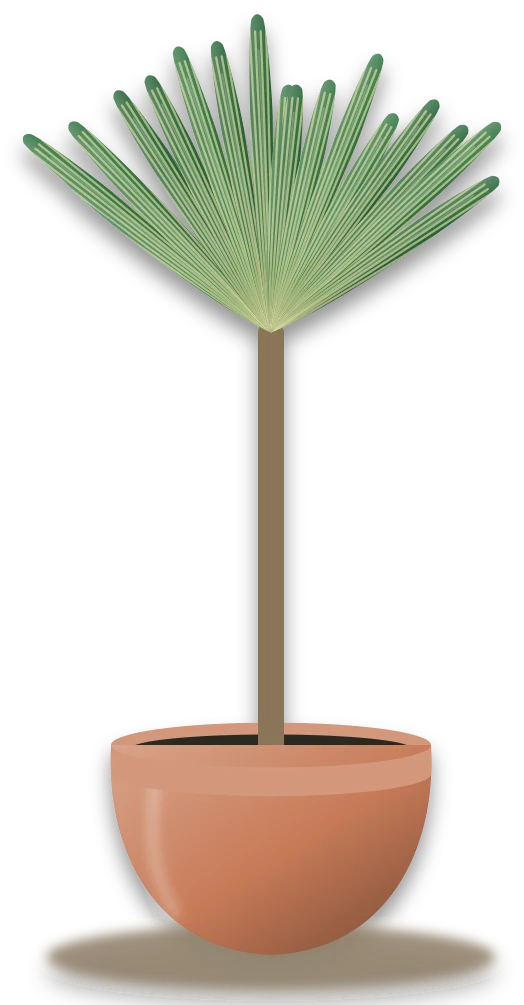 Illustration of a potted corn plant