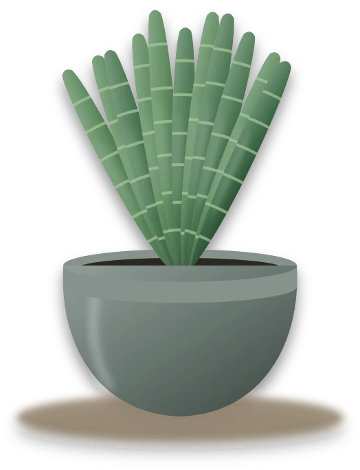 Illustration of a potted snake plant