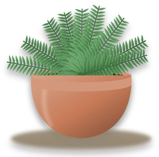 Illustration of a potted male fern