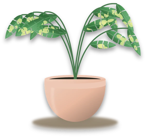 Illustration of a potted dragon tail