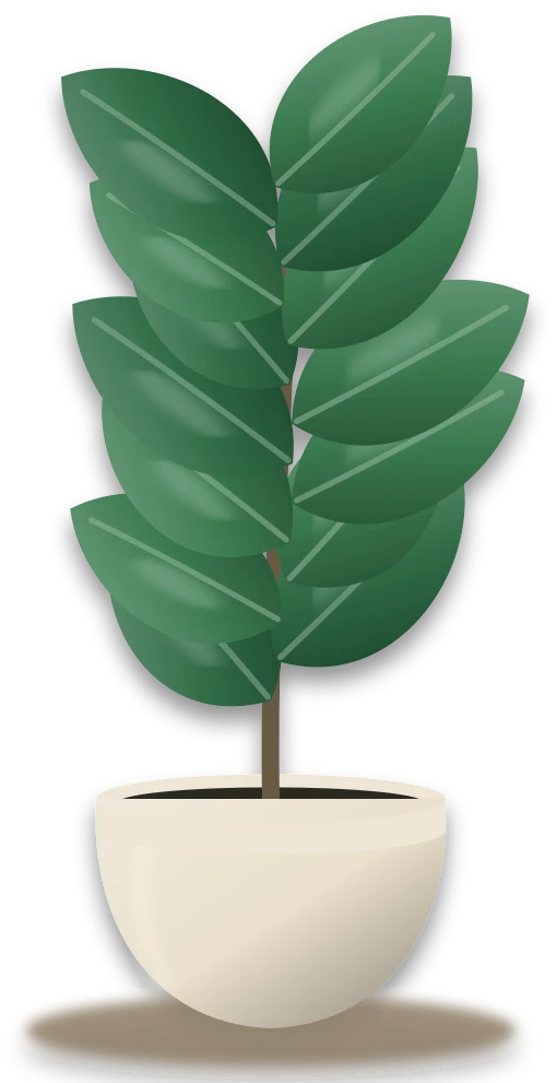 Illustration of a potted rubber plant