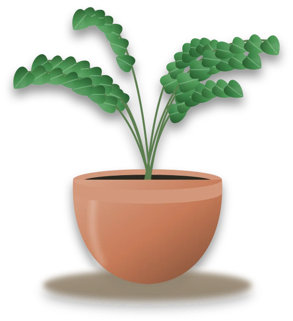 Illustration of a potted creeping fig
