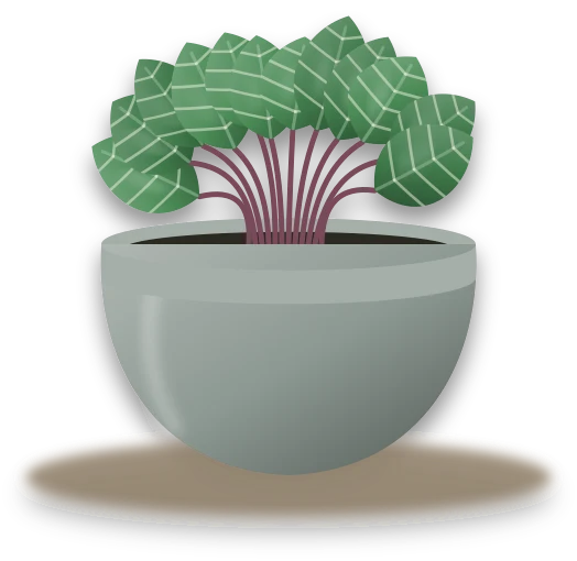 Illustration of a potted nerve plant