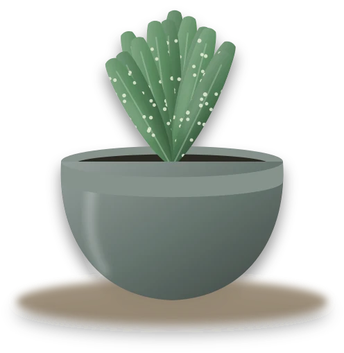 Illustration of a potted ox tongue