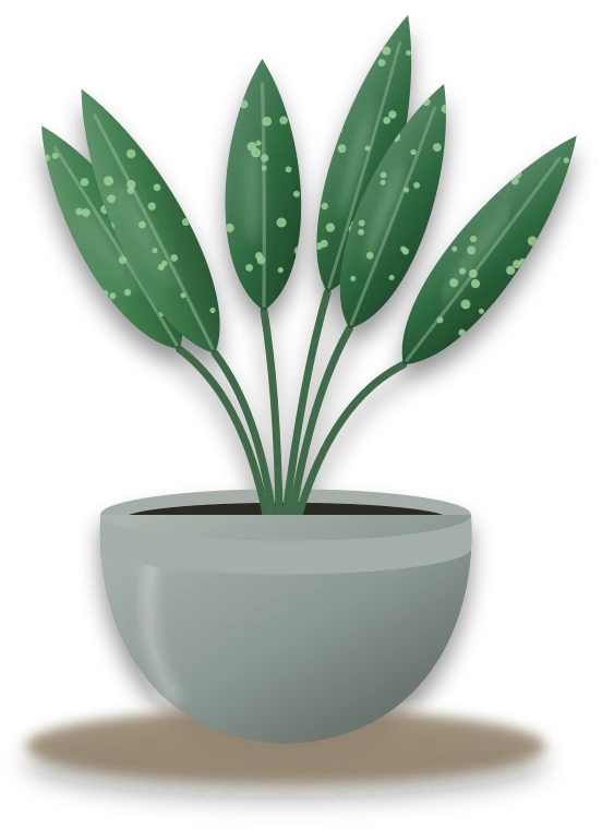 Illustration of a potted rattlesnake plant