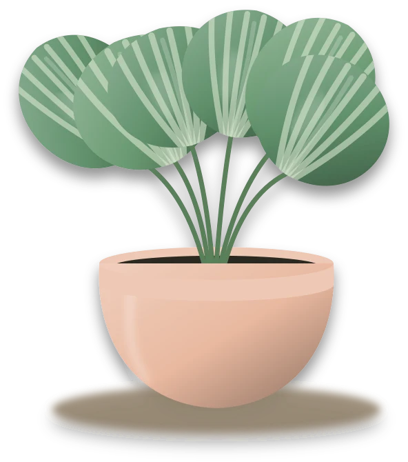 Illustration of a potted calathea