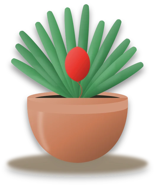 Illustration of a potted scarlet star