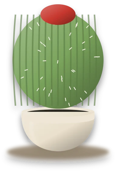Illustration of a potted moon cactus