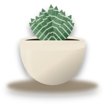 Illustration of a potted zebra haworthia