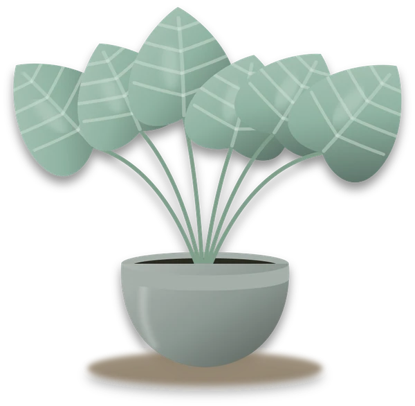 Illustration of a potted hosta