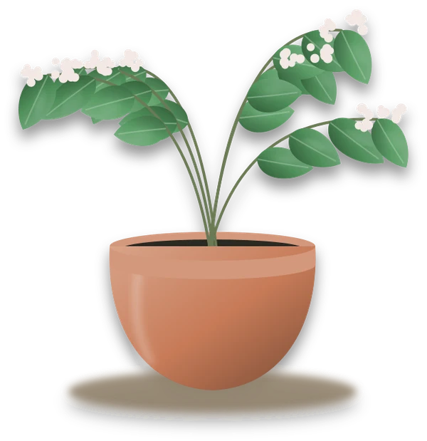 Illustration of a potted wax plant