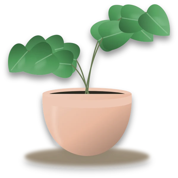 Illustration of a potted sweetheart hoya