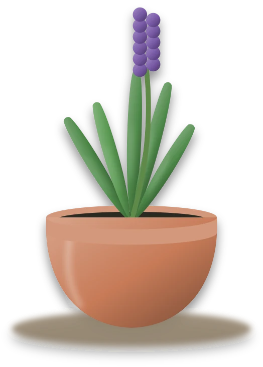 Illustration of a potted hyacinth