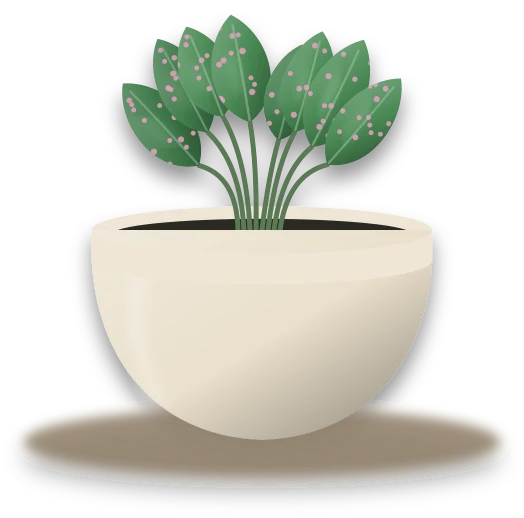 Illustration of a potted polka dot plant