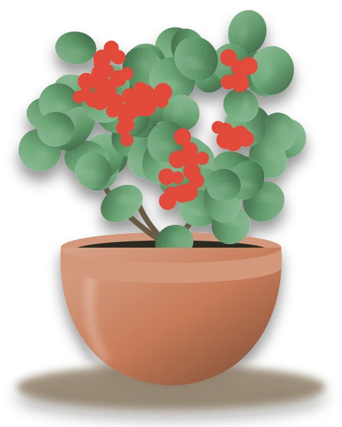 Illustration of a potted flaming katy