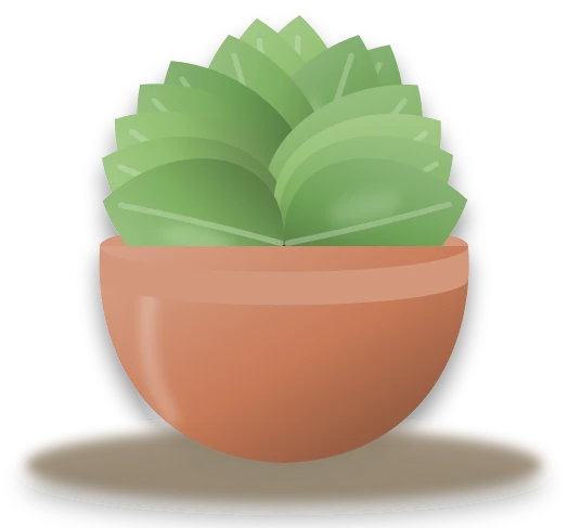 Illustration of a potted lettuce