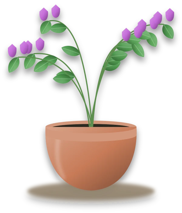 Illustration of a potted sweet pea