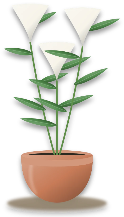Illustration of a potted easter lily