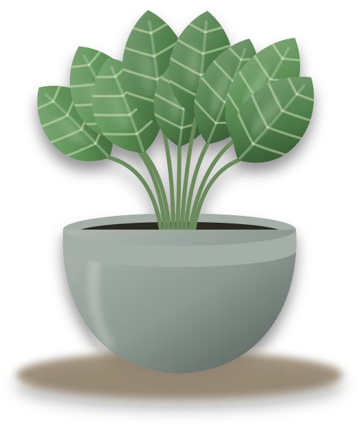 Illustration of a potted prayer plant